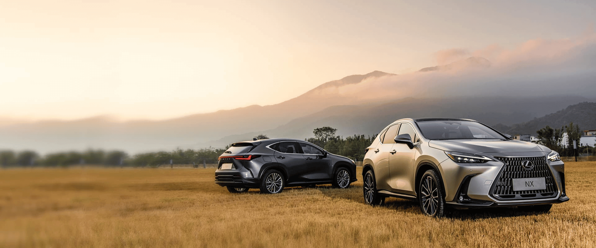 đại lý lexus thăng long (1)